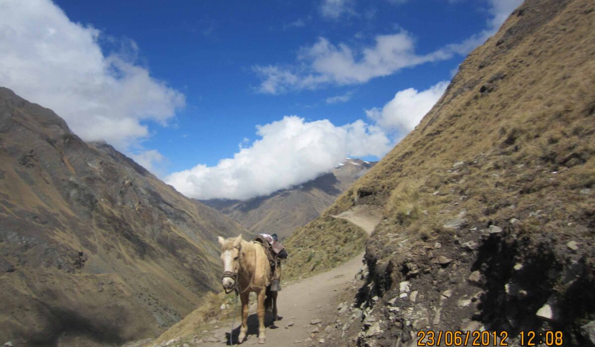 Salkantay Trek + Jungle Expeditions + Titicaca Lake Tours 14 Days / 13 Nights