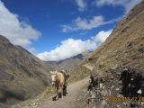 Salkantay Trek + Jungle Expeditions + Titicaca Lake Tours 14 Days / 13 Nights