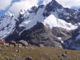 Salkantay Trek + Jungle Expeditions + Titicaca Lake Tours 14 Days / 13 Nights